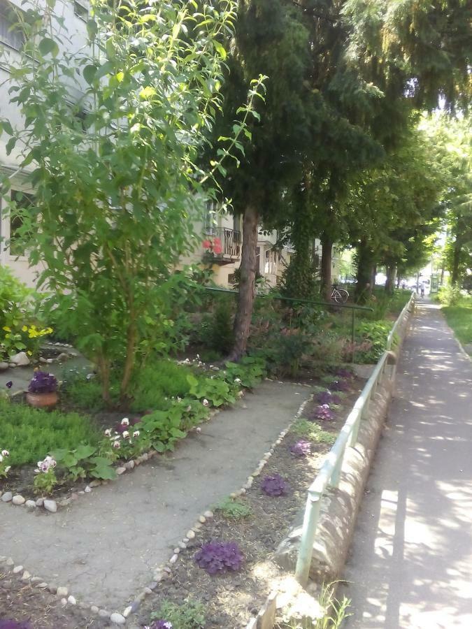 Apartment Feszek Bekescsaba